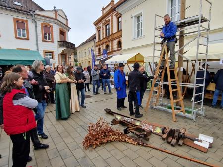 martinovanje v Ljutomeru (4)